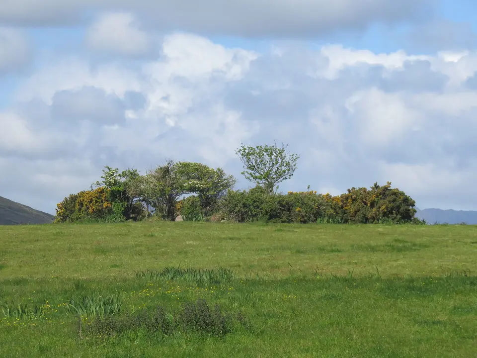 Fort Circulaire (Ringfort) à Tullaree, Castlegregory, Co. Kerry, Irlande