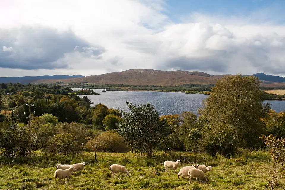 Gartan Lough, County Donegal