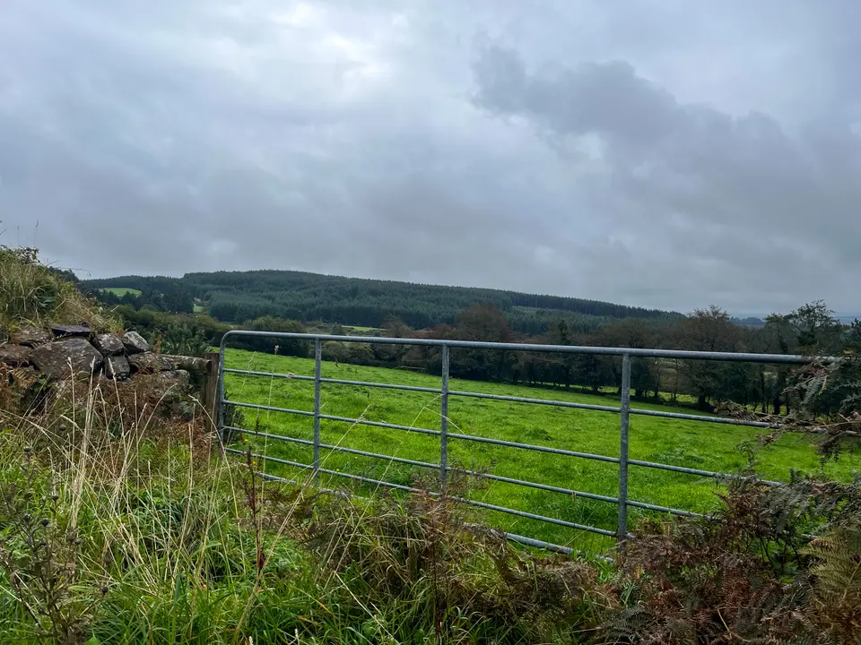 Gate into field