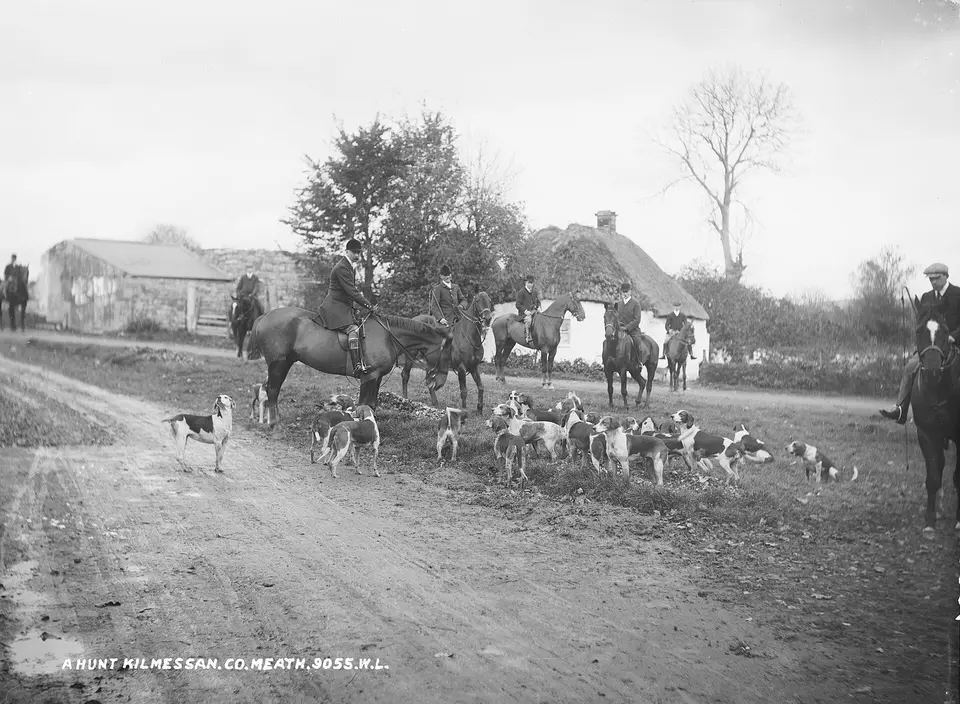 Looks as if this photo of a Hunt at Kilmessan, Co. Meath was taken just at the moment that the hounds were getting the scent of a fox. Date: Circa 1900 NLI Ref.: L_ROY_09055