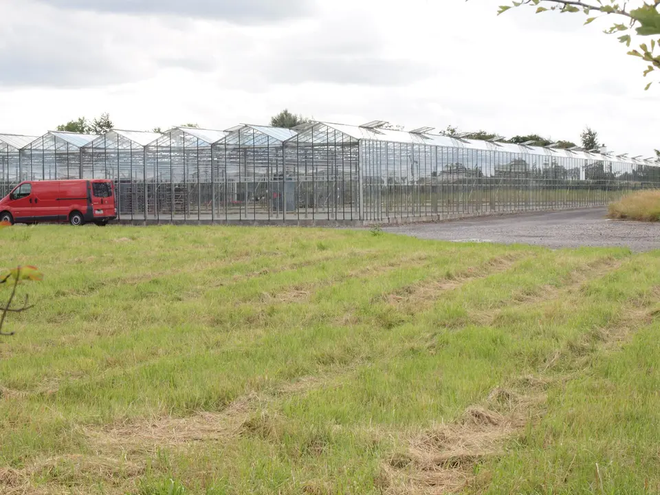 Glasshouses in a rural setting