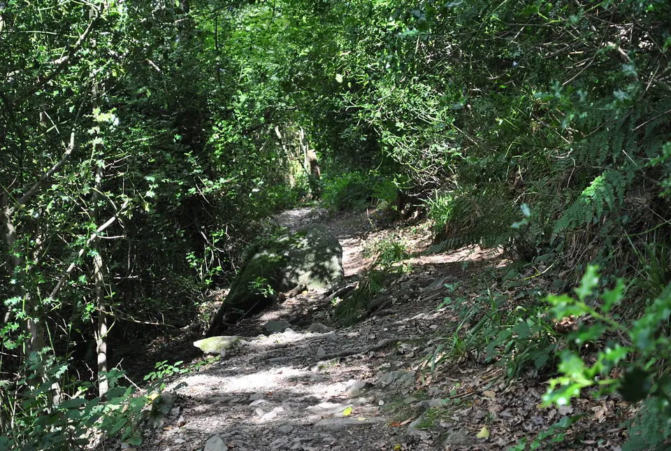 Glen walk way