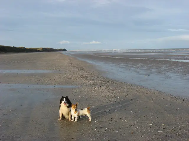 Gormanston Strand, Co. Meath geograph.org.uk 630487
