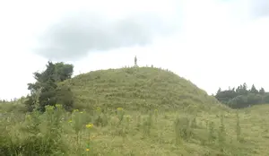 Norman Motte, Granard, 13th/14th Century