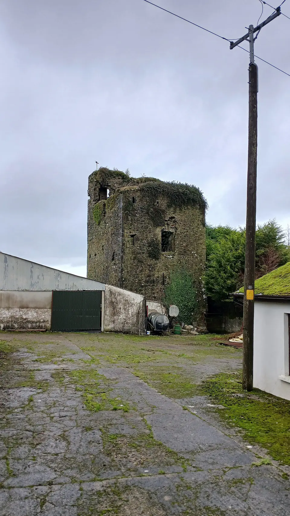 Grange Castle