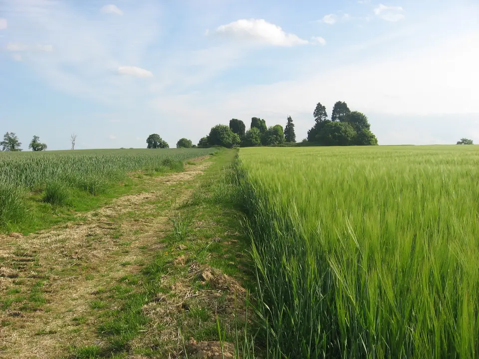 Graveyard at Wardstown, Co. Meath