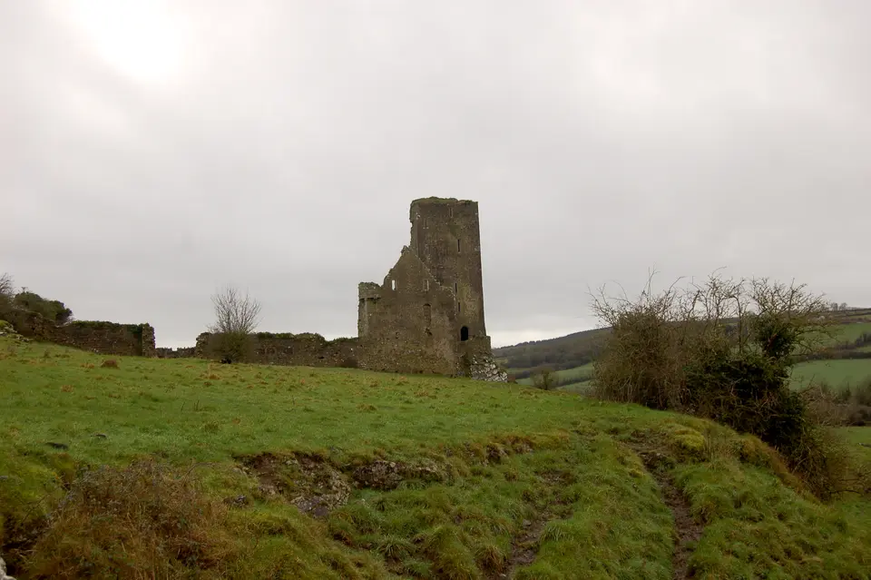 Graystown Castle near Killenaule is a tower house, a bawn and a fortified house in ruins.