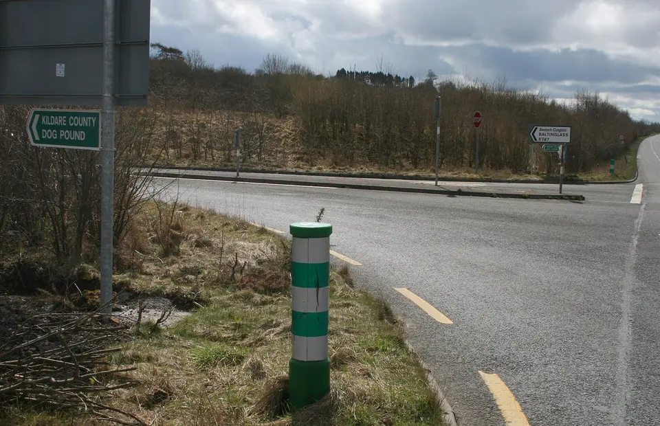 Green and White pole, County Kildare