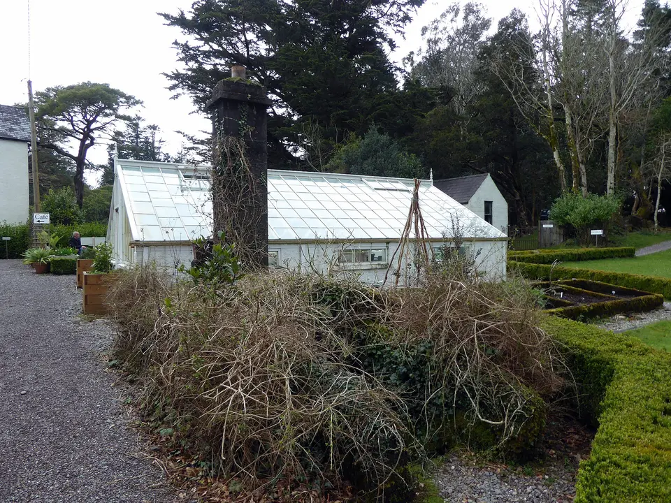 Greenhouse in Dereen Garden