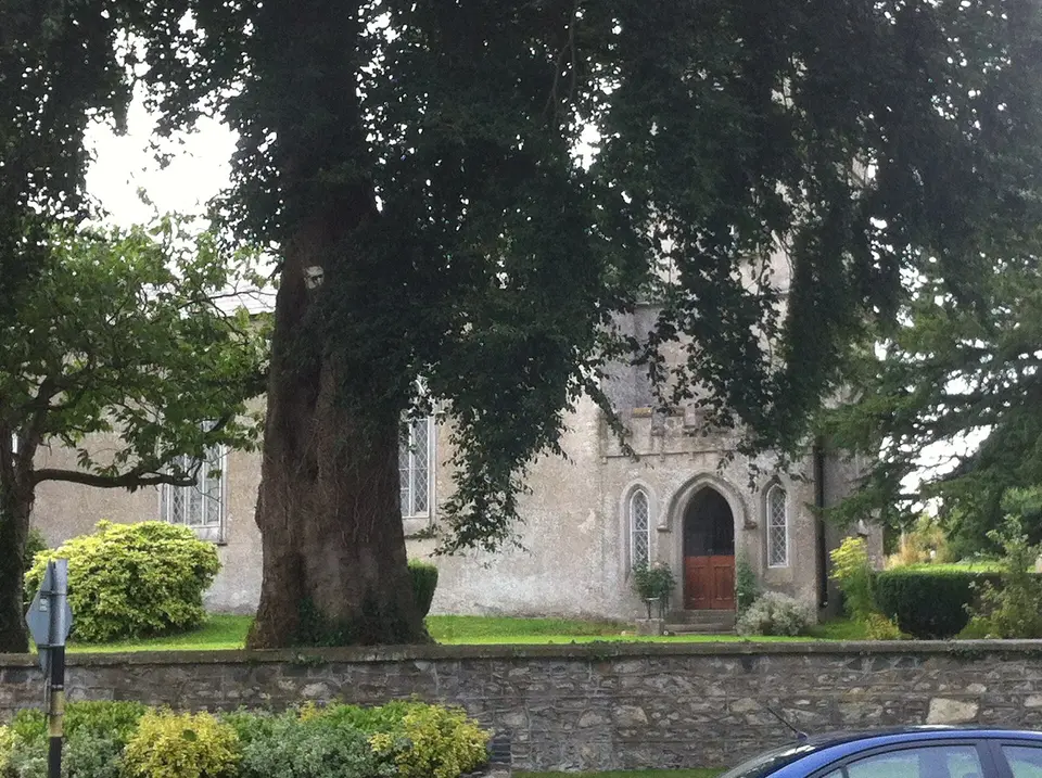 Grounds of St. John's Church of Ireland, Kill