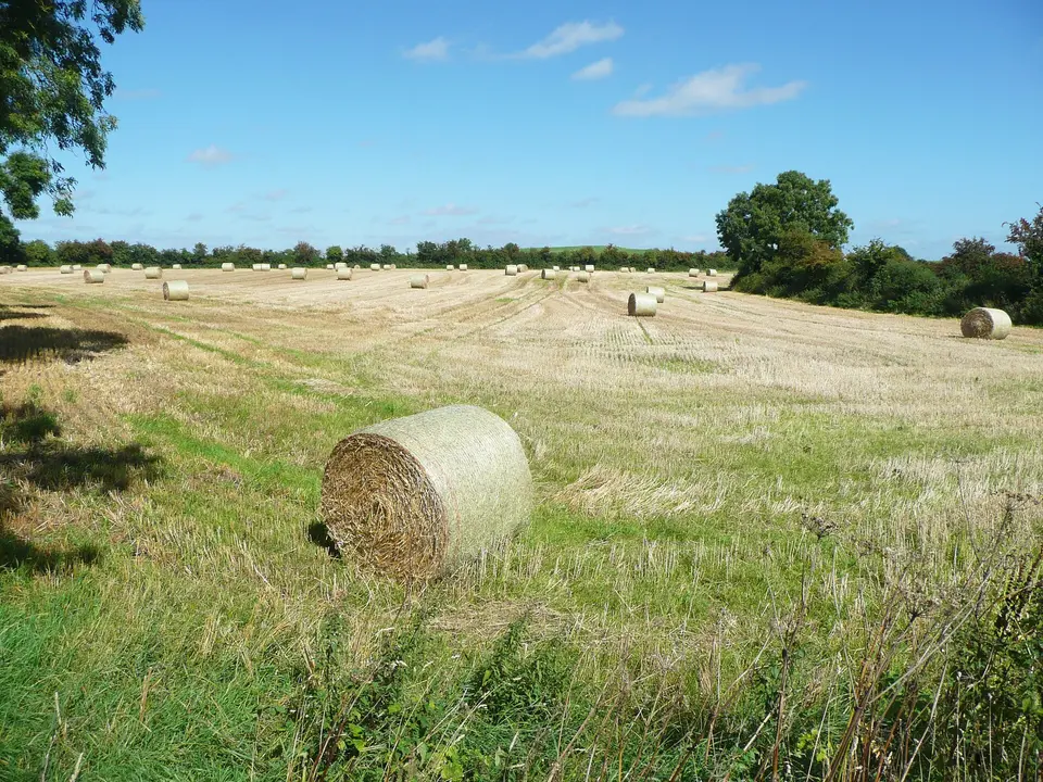 Hay Bales in south of Carlow town, Co. Carlow