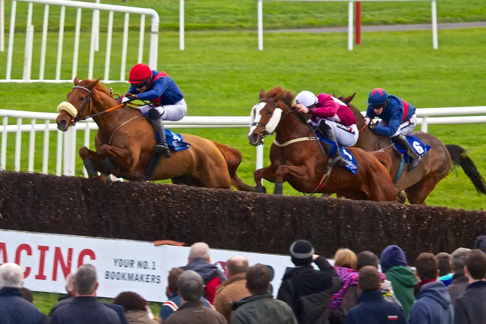 Horse racing at Fairyhouse, Co. Meath
