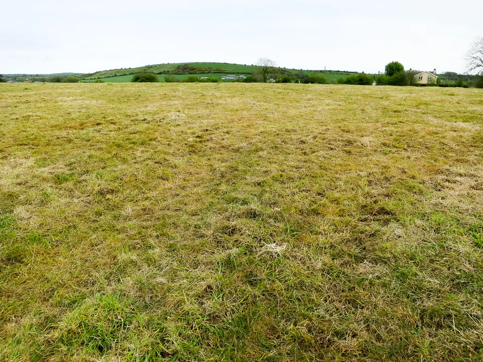 House by a field