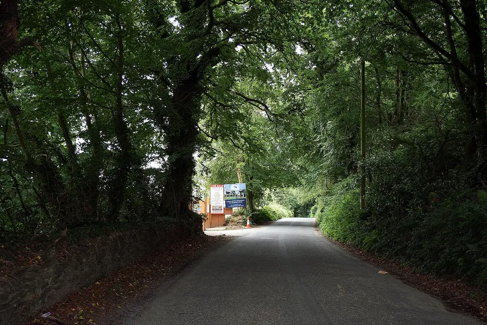 Hollyfort, County Wexford, Ireland. The road to Monaseed.