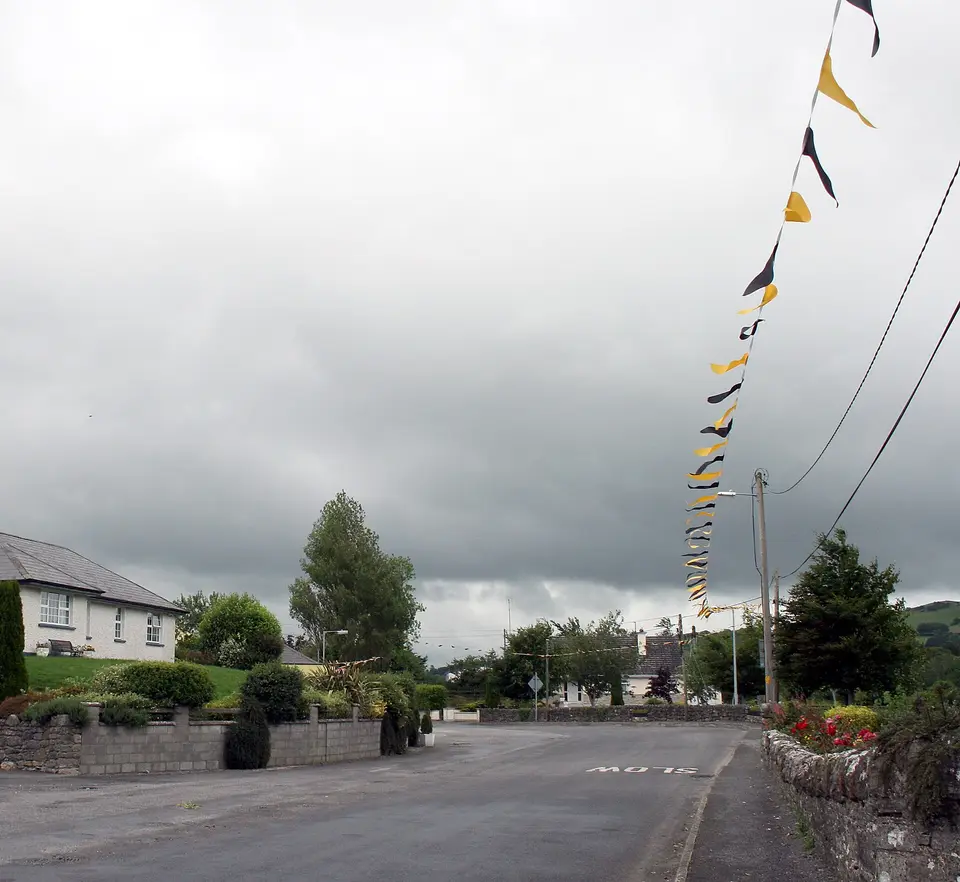 Bunting in Rosemount, County Westmeath