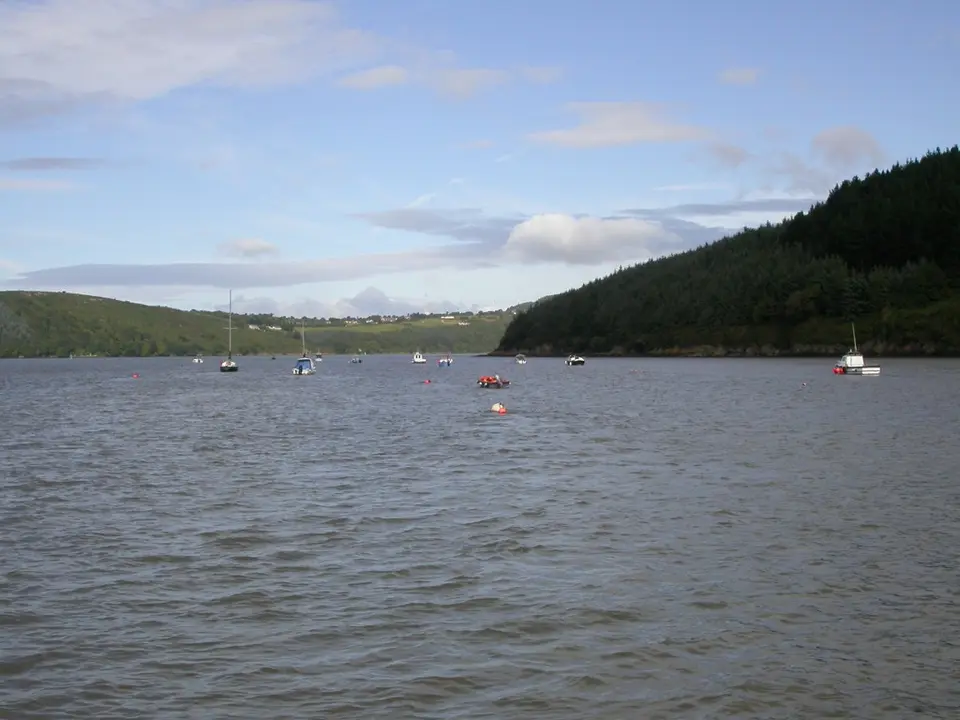 Incised river estuary, River Suir