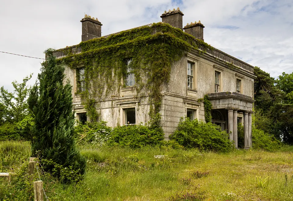 Ireland in Ruins: Daramona House, Co. Westmeath (2)