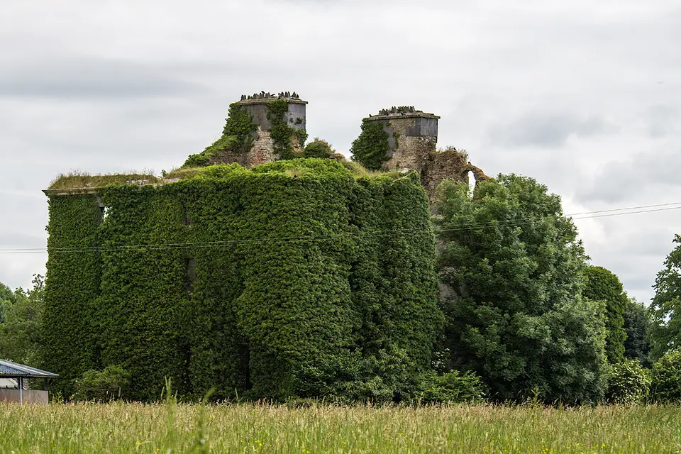 Ireland in Ruins: Dunsandle House, Co. Galway (2)