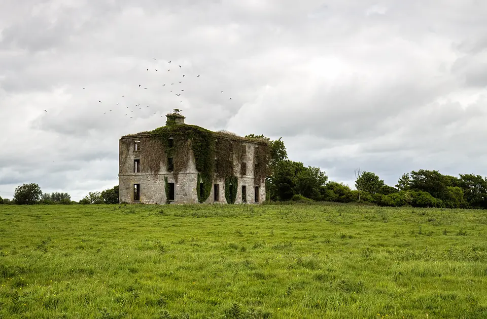 Ireland in Ruins: Grangemore House, Co. Westmeath (1)
