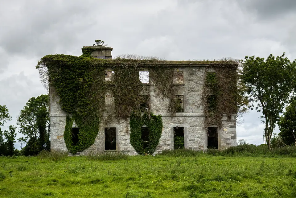 Ireland in Ruins: Grangemore House, Co. Westmeath (2)