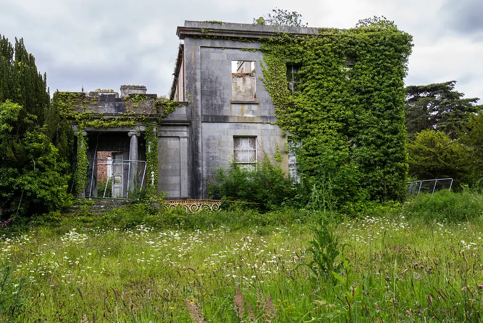 Ireland in Ruins: Pilltown House, Co. Meath (1)