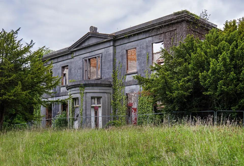 Ireland in Ruins: Pilltown House, Co. Meath (2)