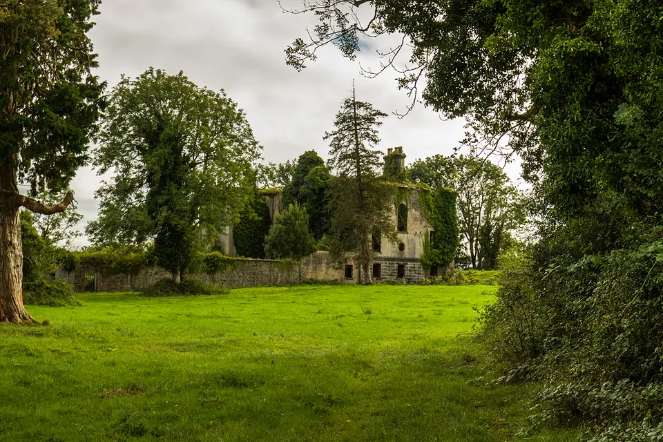 Ireland in Ruins Pt III: Clooney House, Co. Clare (1)