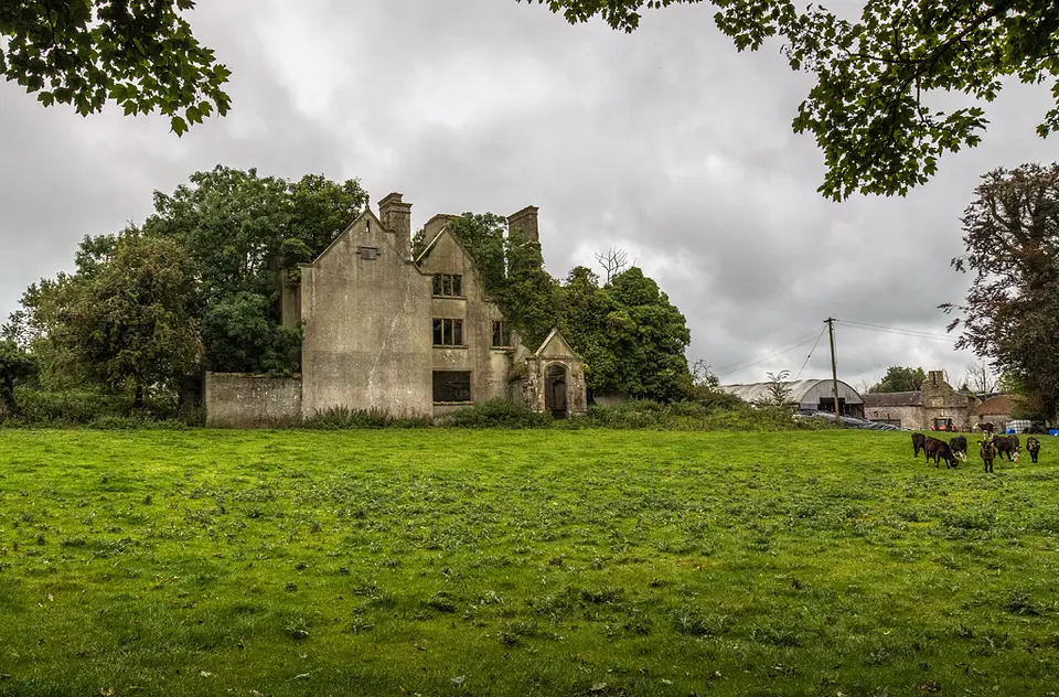 Ireland in Ruins Pt III: Rathrobin House, Co. Offaly (2)