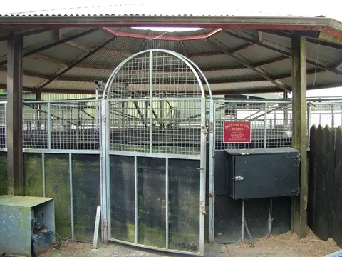 Irish National Stud, Führmaschine / Horse Walker