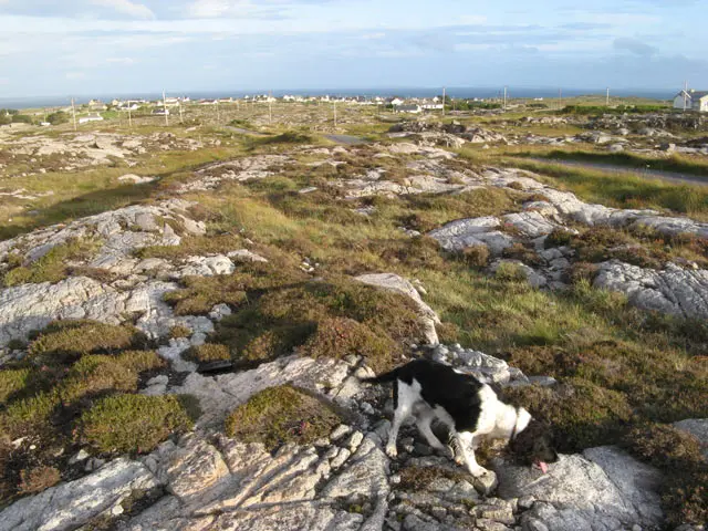 Island summit geograph.org.uk 1449727