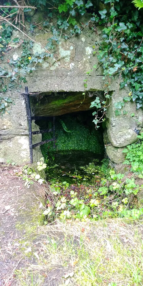Keating's Well
