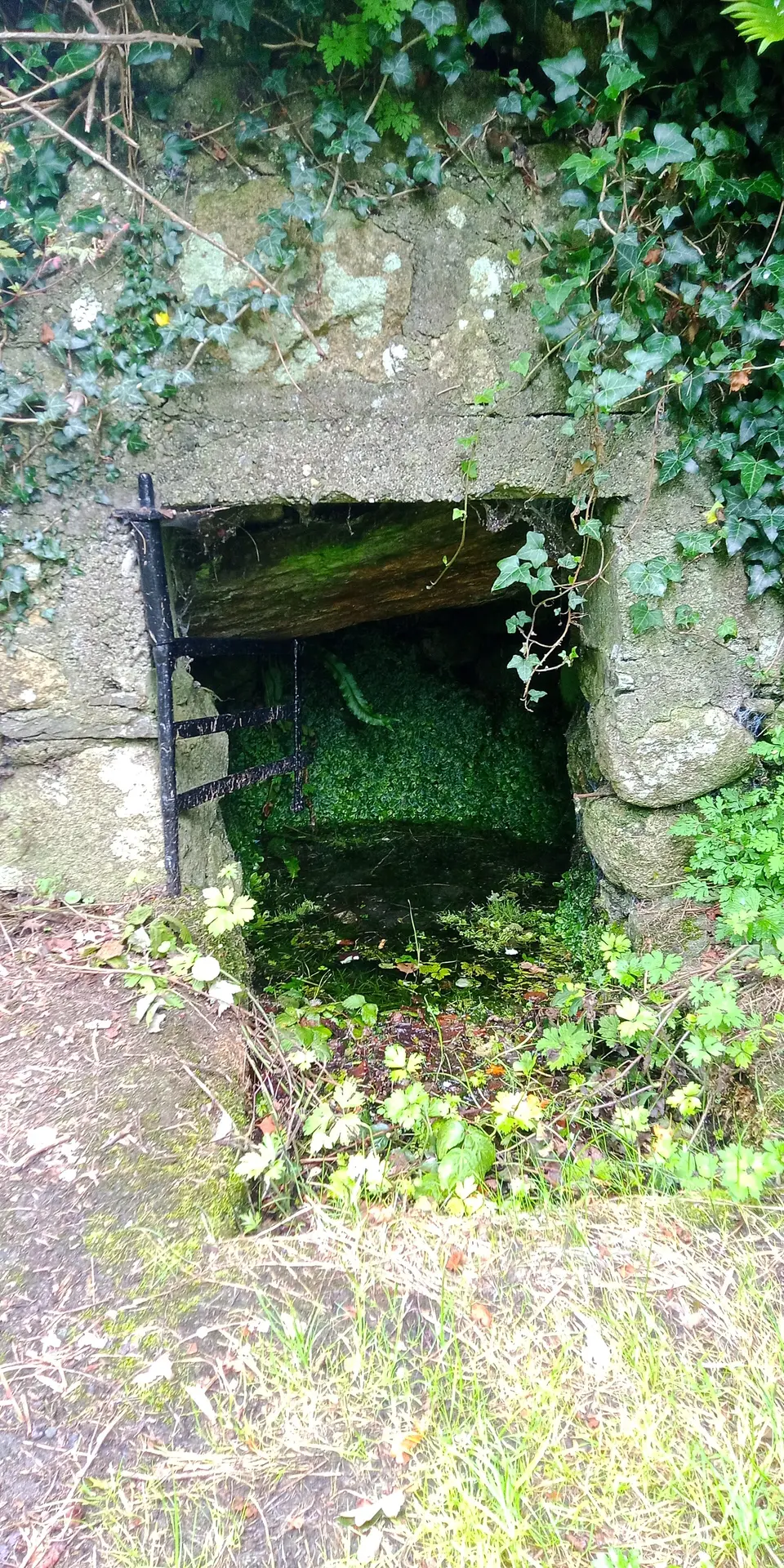 Keating's Well