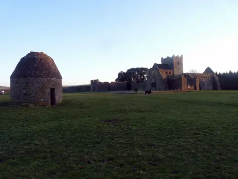 Kilcooley Abbey 2015