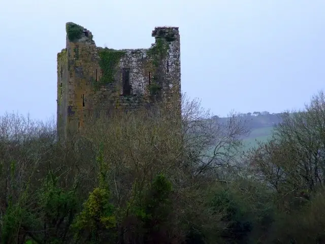 Kilcrea Castle, Farran, Co. Cork geograph.org.uk 1243394