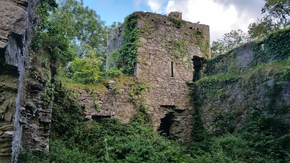 Kilcrea Castle Ruins: the inner courtyard is mostly overgrown.