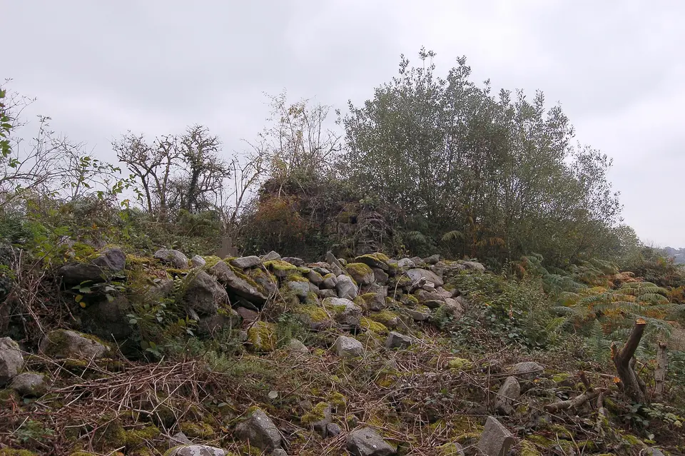 Kilcullen Church view from SW towards East gable