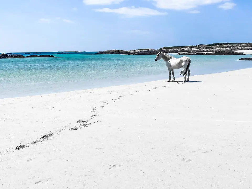 Kilkieran Bay