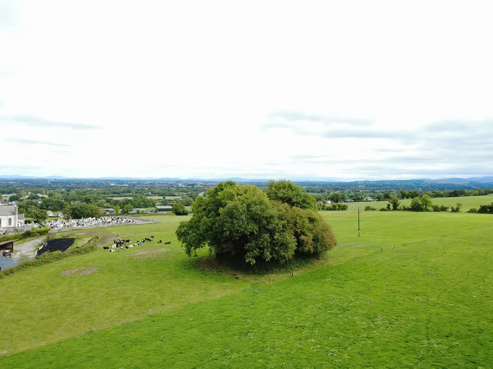 Killeshin motte (1)