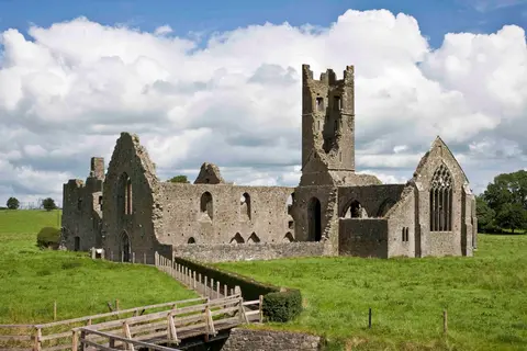 Kilmallock Abbey Friary