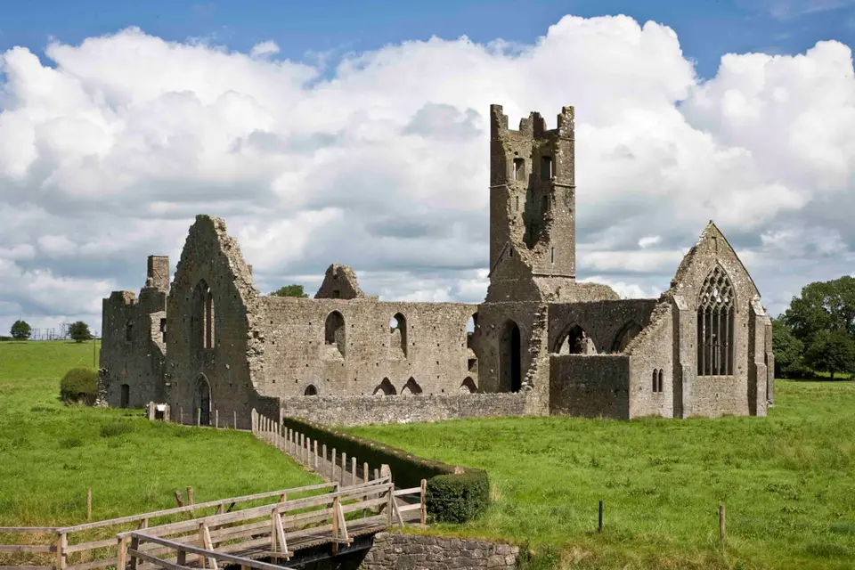 Kilmallock Abbey Friary