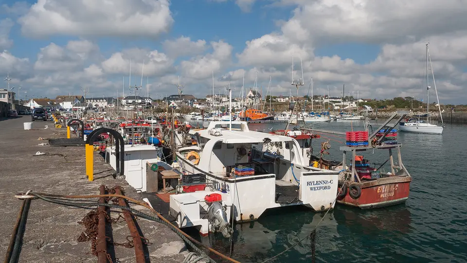 Fishing boats including Rylenna-C (WD243) and Eilidh-C (WD224) in Kilmore Quay Harbour, looking north.