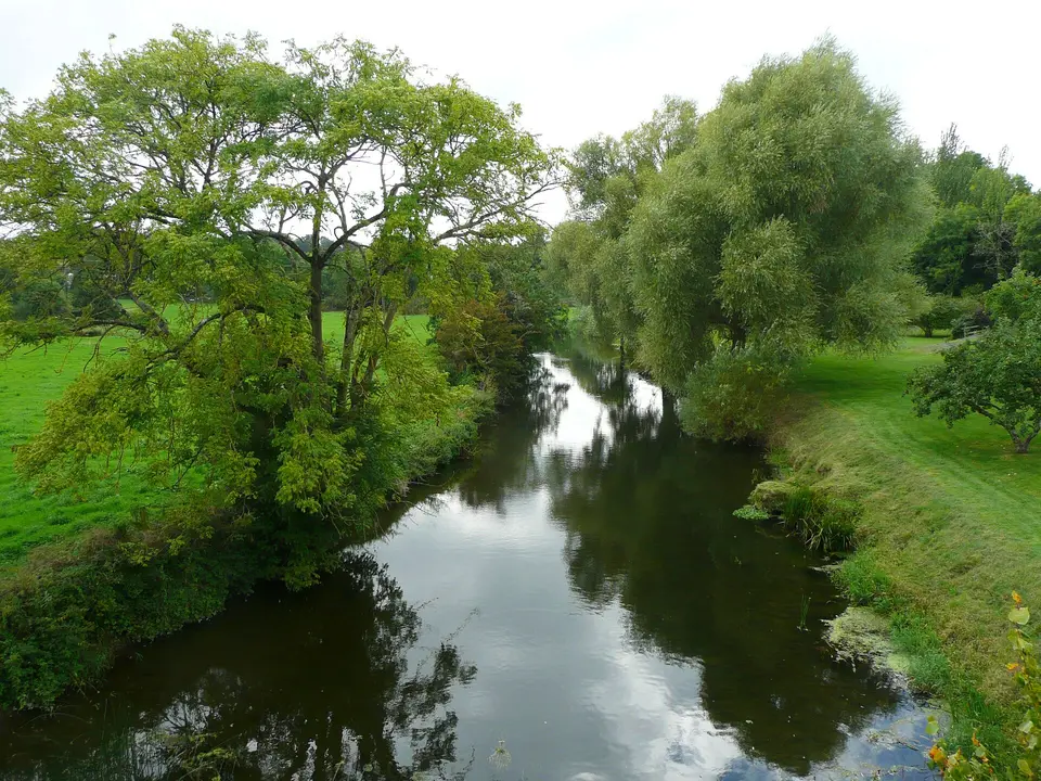 King's River near Ennisnag