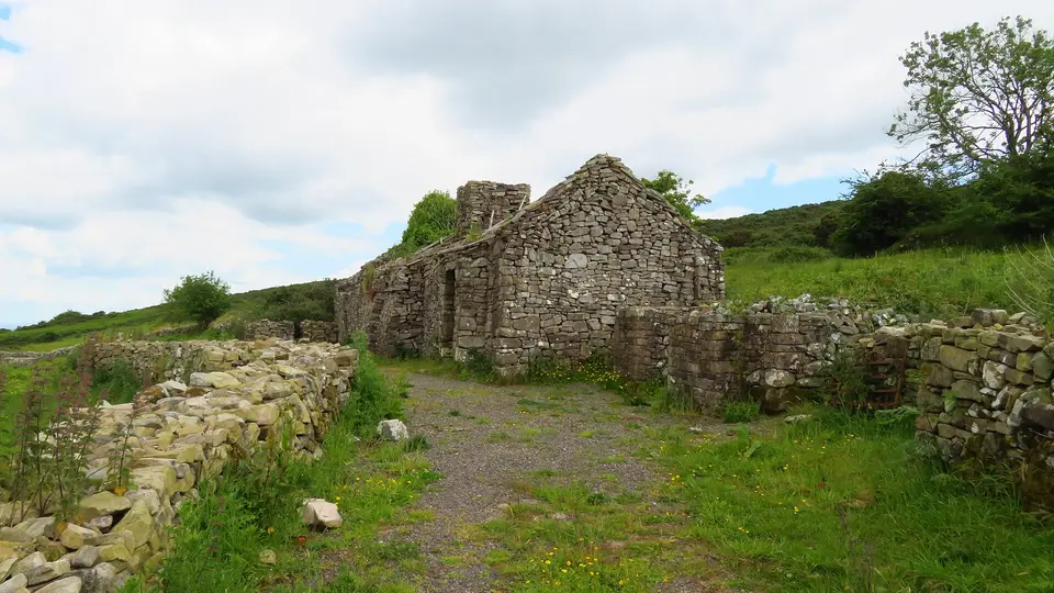 Knockfeerina near Ballingarry - famine house