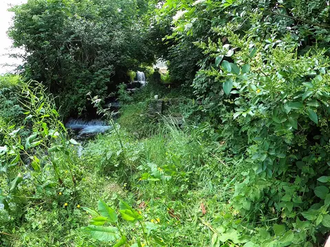 Lady's Well in Graiguenamanagh 4. It is quite overgrown and access is a bit tricky from above. Access from below is nearly impossible with the clapper bridge having collapsed.