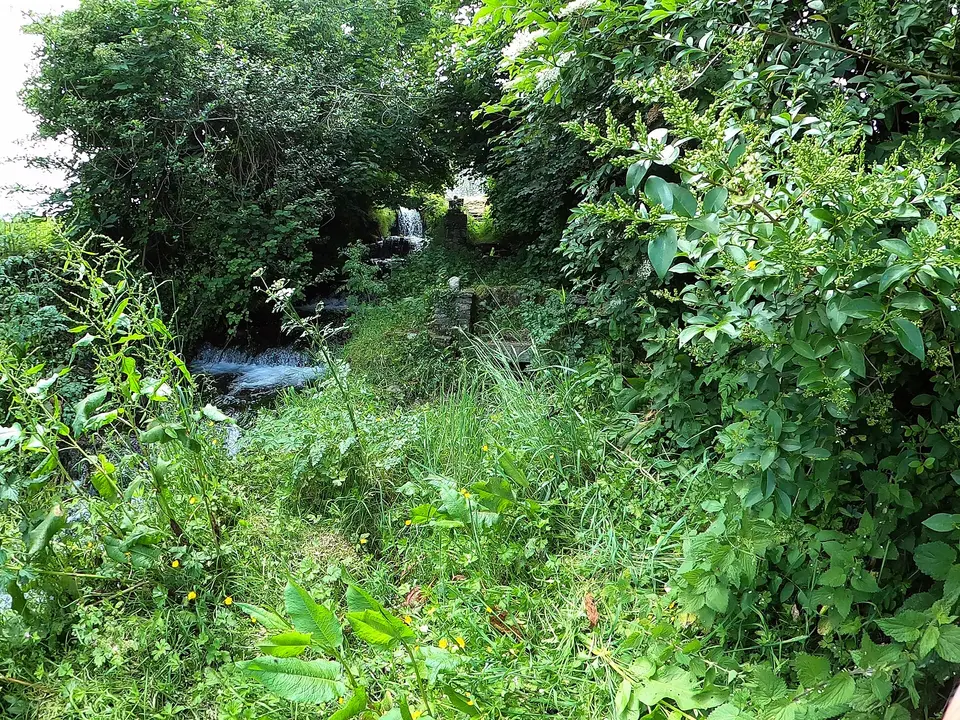 Lady's Well in Graiguenamanagh 4. It is quite overgrown and access is a bit tricky from above. Access from below is nearly impossible with the clapper bridge having collapsed.