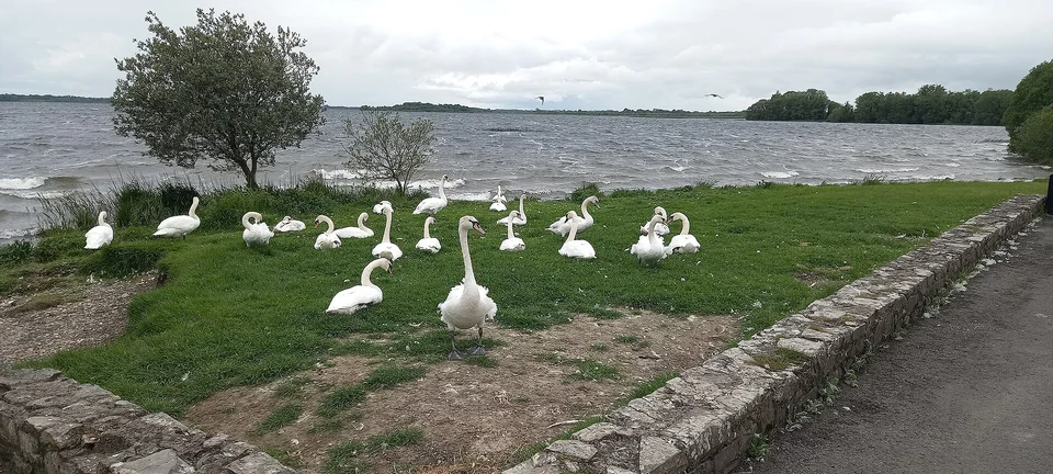 Lough Ennell, County Westmeath