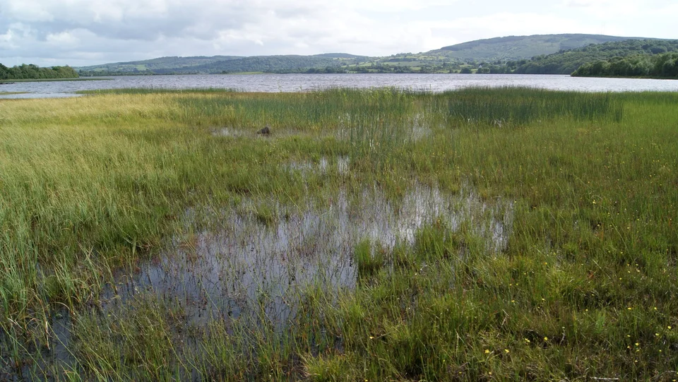Lough Graney, County Clare