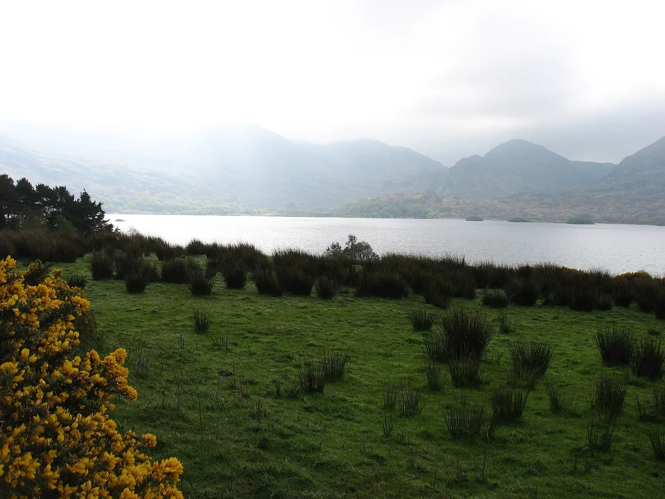Lough Guitane, County Kerry