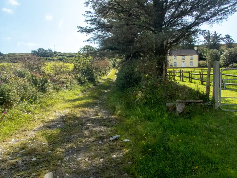 Lane by a house