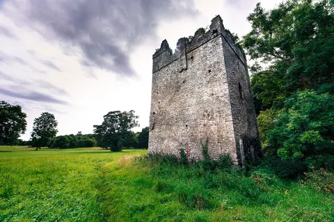 Newbridge Demense Castle